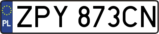 ZPY873CN