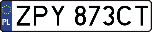ZPY873CT