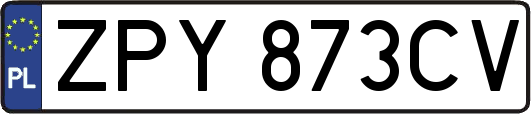 ZPY873CV