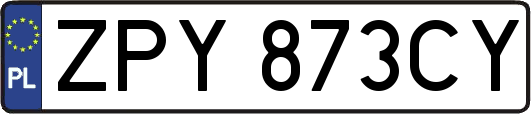 ZPY873CY