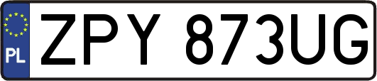 ZPY873UG