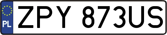 ZPY873US