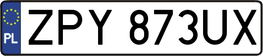 ZPY873UX