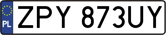 ZPY873UY