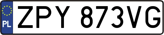 ZPY873VG