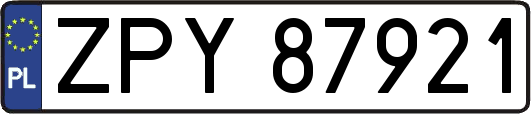 ZPY87921