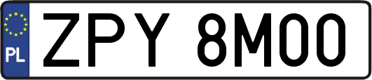 ZPY8M00