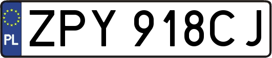 ZPY918CJ