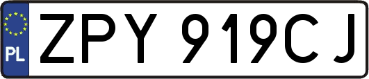 ZPY919CJ