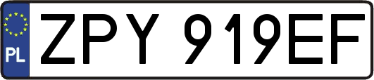 ZPY919EF