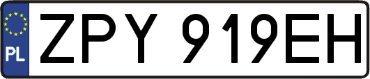 ZPY919EH