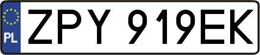 ZPY919EK