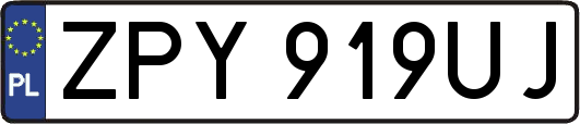 ZPY919UJ