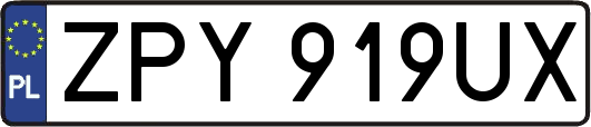 ZPY919UX