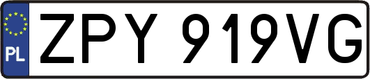 ZPY919VG