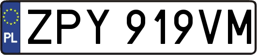 ZPY919VM