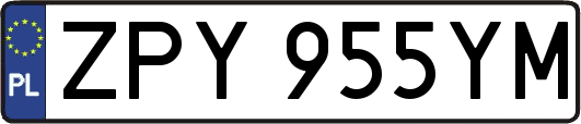 ZPY955YM
