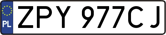ZPY977CJ