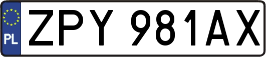 ZPY981AX