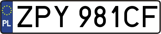ZPY981CF