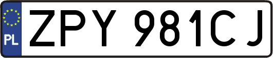 ZPY981CJ