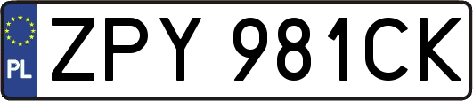 ZPY981CK