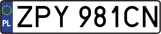 ZPY981CN