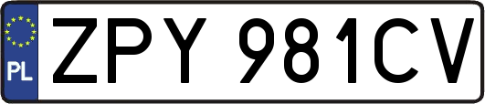 ZPY981CV