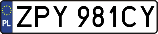 ZPY981CY
