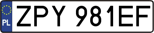 ZPY981EF