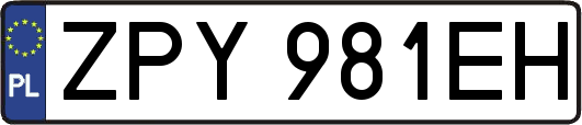 ZPY981EH