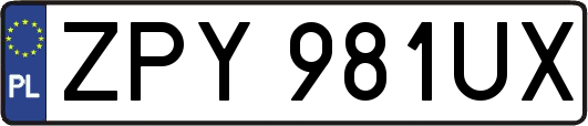 ZPY981UX