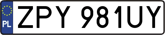 ZPY981UY