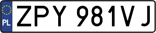 ZPY981VJ