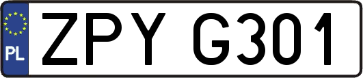 ZPYG301