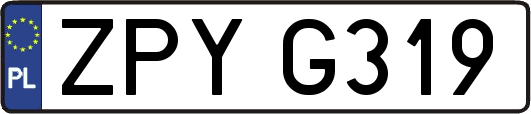 ZPYG319