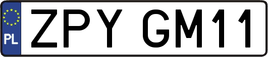 ZPYGM11