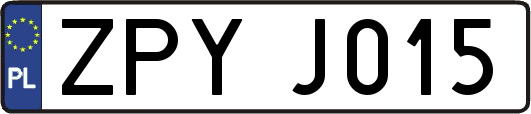 ZPYJ015