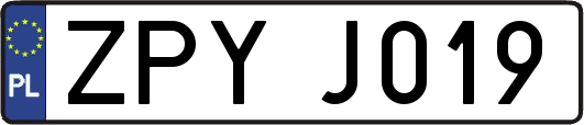 ZPYJ019