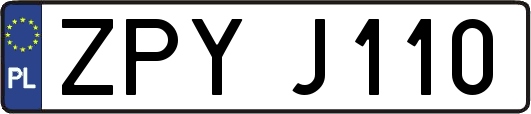 ZPYJ110