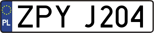 ZPYJ204