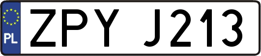 ZPYJ213