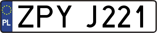 ZPYJ221