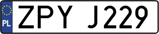 ZPYJ229