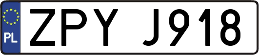ZPYJ918