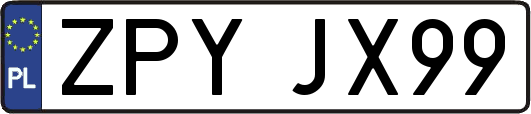 ZPYJX99