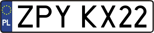 ZPYKX22