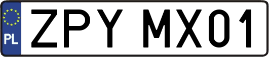ZPYMX01