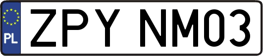 ZPYNM03