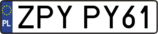 ZPYPY61